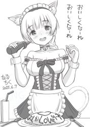 lynette bishop from world witches series