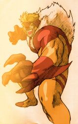 sabertooth (x-men) from capcom by bengus