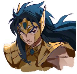 aquarius camus from saint seiya
