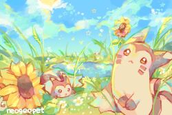 furret from pokemon