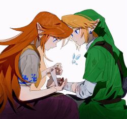link from the legend of zelda by hat babo