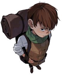 dungeon meshi fan art