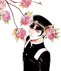 kuzunoha raidou from devil summoner by kamizawa (sark)