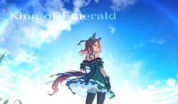king halo (umamusume) from umamusume