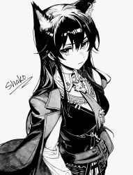 texas (arknights) from arknights