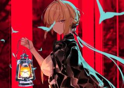 evelyn chevalier from zenless zone zero