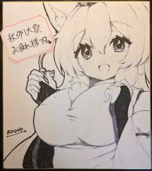 inubashiri momiji from touhou by onomiya