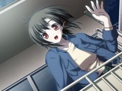 niiyama aoi from akiiro renka by tsukimori hiro