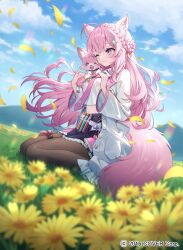hakui koyori from hololive