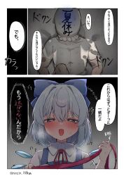 cirno from touhou by ninzin 88hon