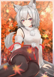inubashiri momiji from touhou