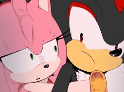 amy rose from sonic (series)