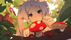 fern (sousou no frieren) from sousou no frieren