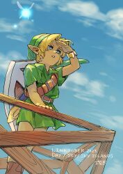 link from the legend of zelda