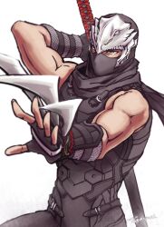 ryu hayabusa from dead or alive