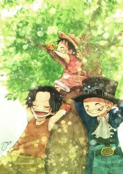 monkey d. luffy from one piece by aco peda