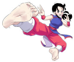 chi-chi (dragon ball) from dragon ball