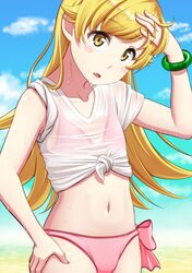 oshino shinobu from monogatari (series) by murata isshin