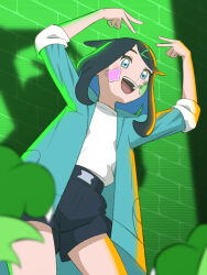 floragato from pokemon