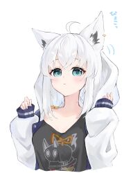 nejima kitsune (shirakami fubuki) from hololive