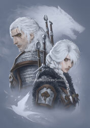 ciri from the witcher (series)