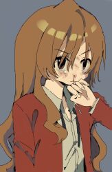 aisaka taiga from toradora!