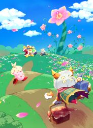 king dedede from kirby (series)