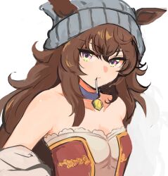 nakayama festa (umamusume) from umamusume