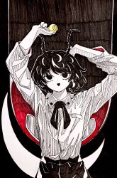 wriggle nightbug from touhou