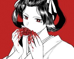 susato mikotoba from ace attorney