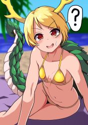 kicchou yachie from touhou by nioti