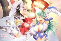 hakurei reimu from touhou
