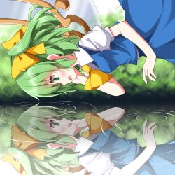 daiyousei from touhou by ruu (tksymkw)