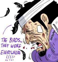 issho (fujitora) from one piece by toadgashi