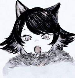 original fan art