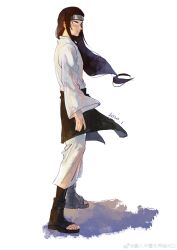 hyuuga neji from naruto (series)