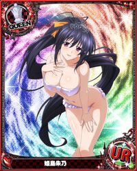 himejima akeno from high school dxd