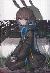 amiya (arknights) from arknights