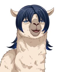 hiodoshi ao from hololive