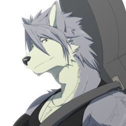 kouya aotsuki from morenatsu