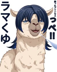 hiodoshi ao from hololive