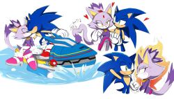 blaze the cat from sonic (series)