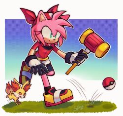 amy rose from sonic (series)