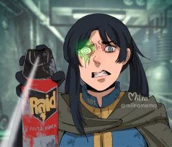 lone wanderer from fallout