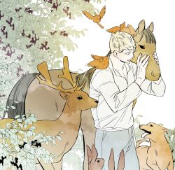 laios touden from dungeon meshi