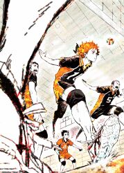 hinata shouyou from haikyuu!! by yuki (hello idiot)