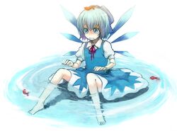 cirno from touhou by xx soul