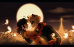 adrien agreste from miraculous ladybug