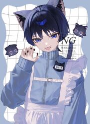 scaramouche (cat) (genshin impact) from genshin impact