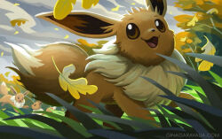 eevee from pokemon